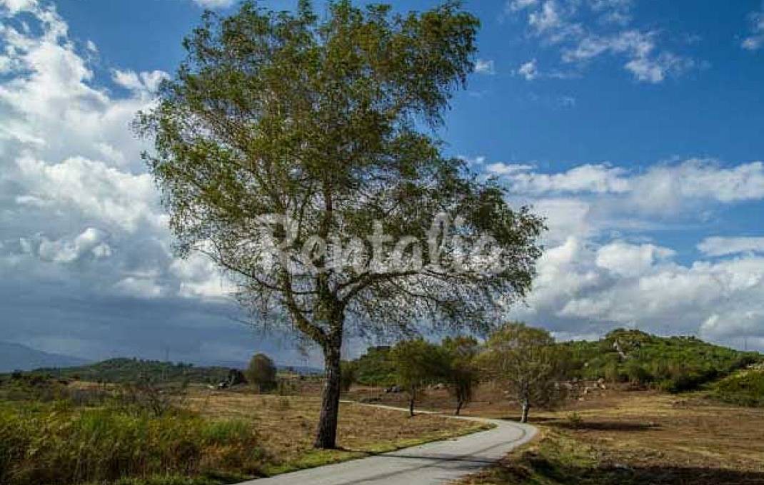 h.9188969.1070.680.0.ffffff.wm_.36da7e64