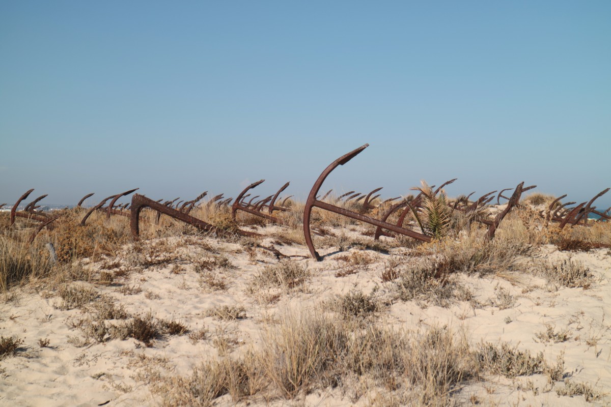 anclas-tavira-barbara-franco