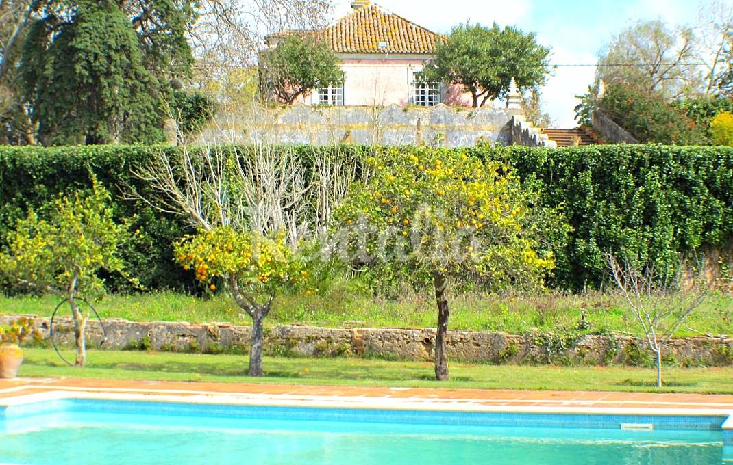 Casas de fim de semana: Natureza em estado puro e praia nos arredores de Sesimbra 