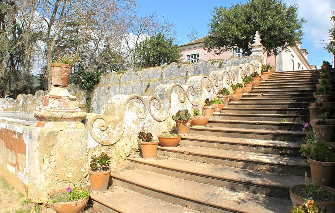 h.2149949.1070.680.0.ffffff.wm_.97c68845