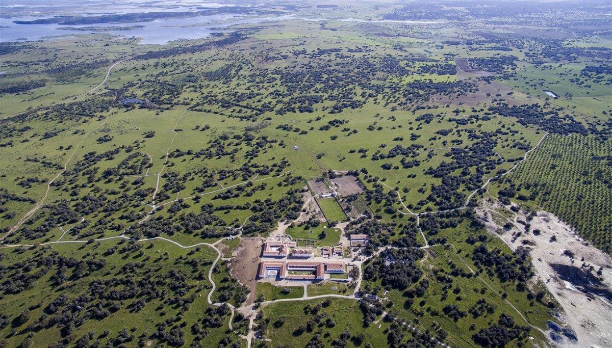 Há 25 lotes de terreno para construção de moradias à venda na herdade São Lourenço do Barrocal