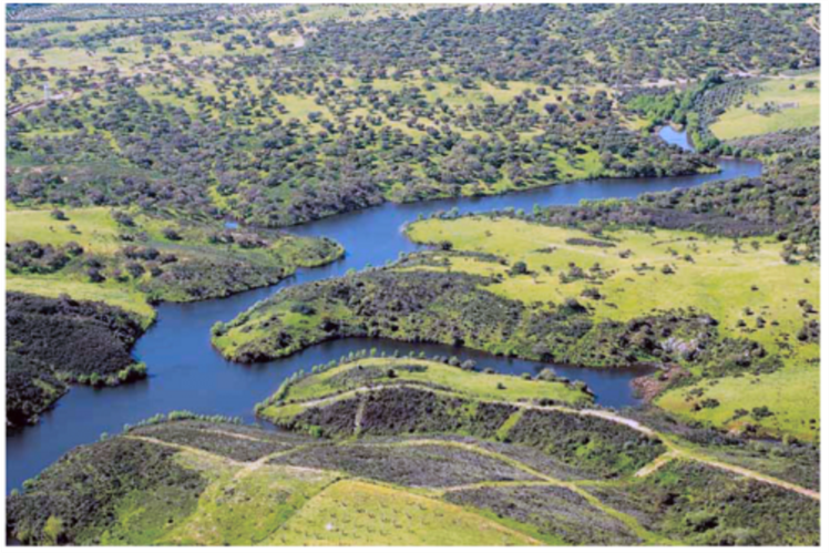 Sapec promove mega projeto imobiliário na antiga zona mineira do Lousal