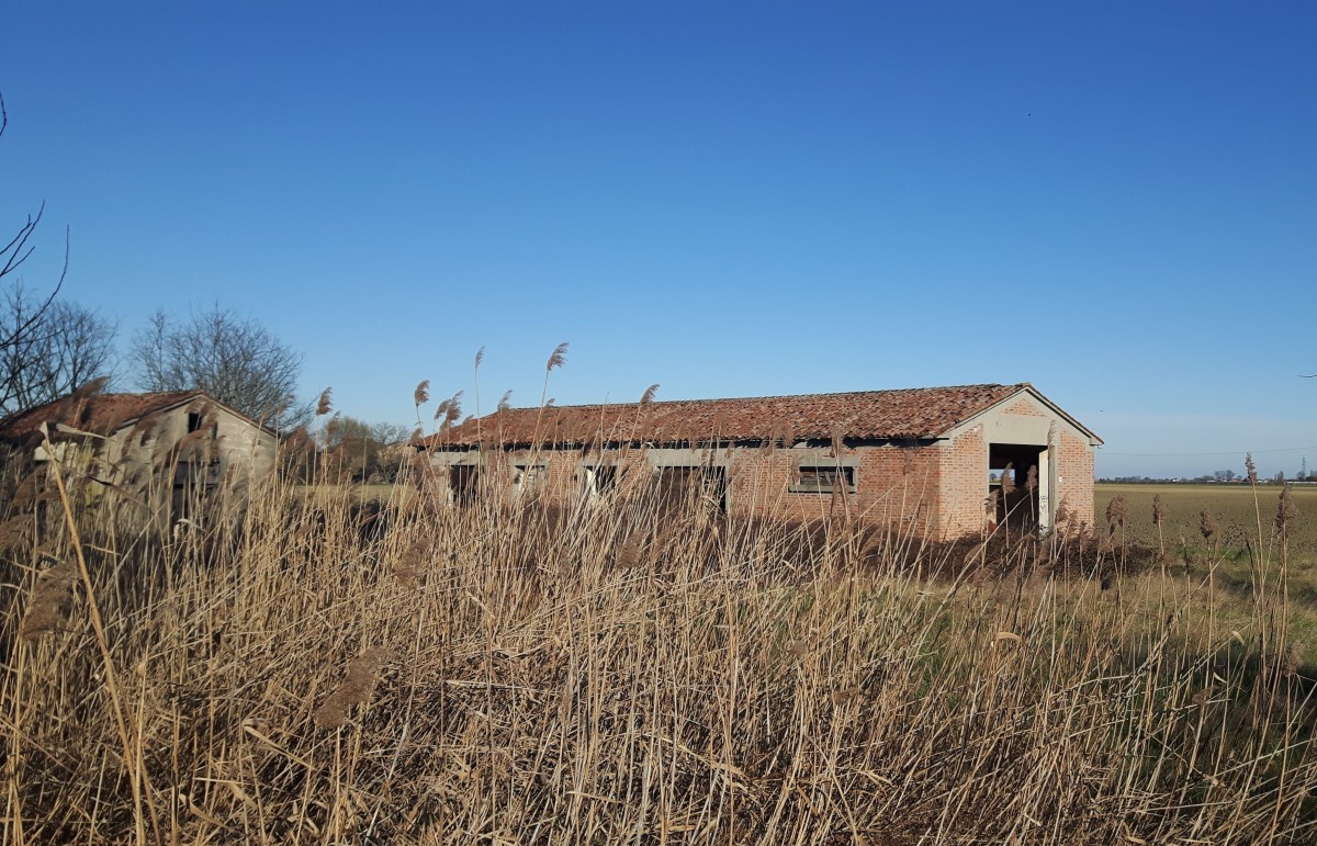 emilia_romagna_ferrara_ca_olmo_di_boara_-_casermetta_ciclovia_vento