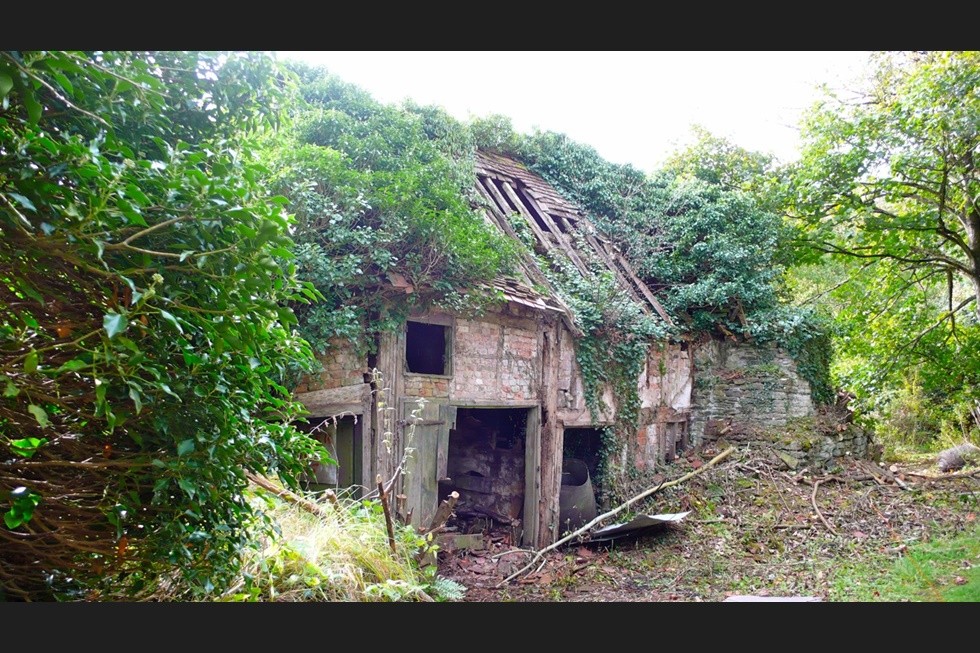 fantasmagorico_dentro