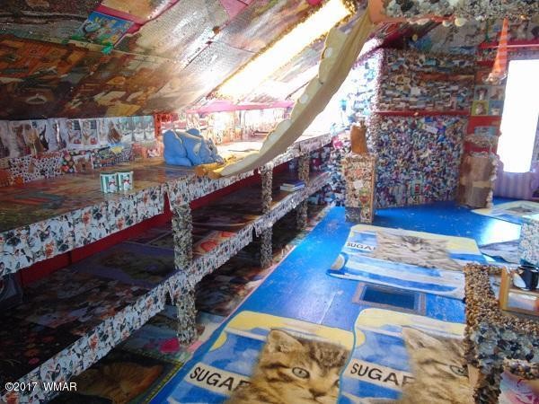 craziest-cat-house-ever-stanford-concho-arizona-8