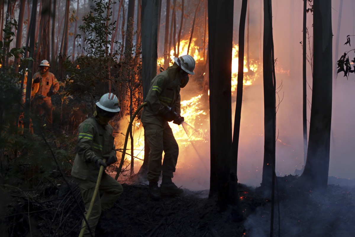 Economia perde 250 milhões de euros todos os anos com incêndios