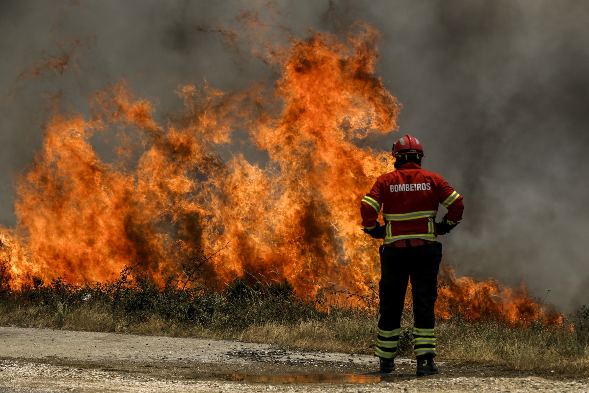 Guia para saberes reagir ao fogo e evitares tragédias