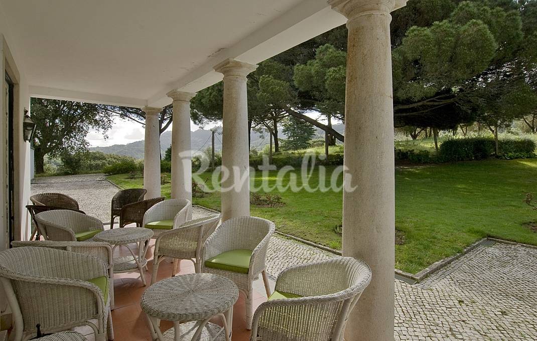 h.10777699.1070.680.0.ffffff.wm_.0614ec15