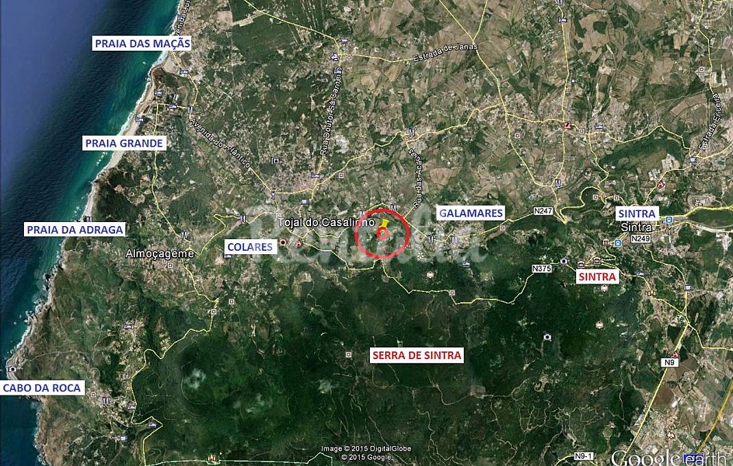 h.10777712.1070.680.0.ffffff.wm_.9137d7a0