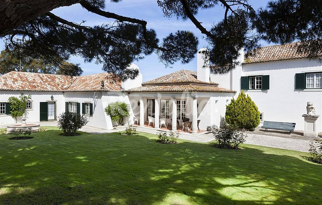 h.10777713.1070.680.0.ffffff.wm_.61996d64