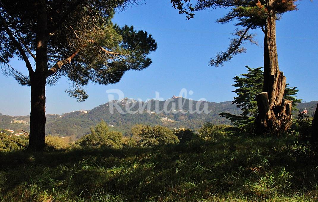 h.10777716.1070.680.0.ffffff.wm_.57ad2fe4