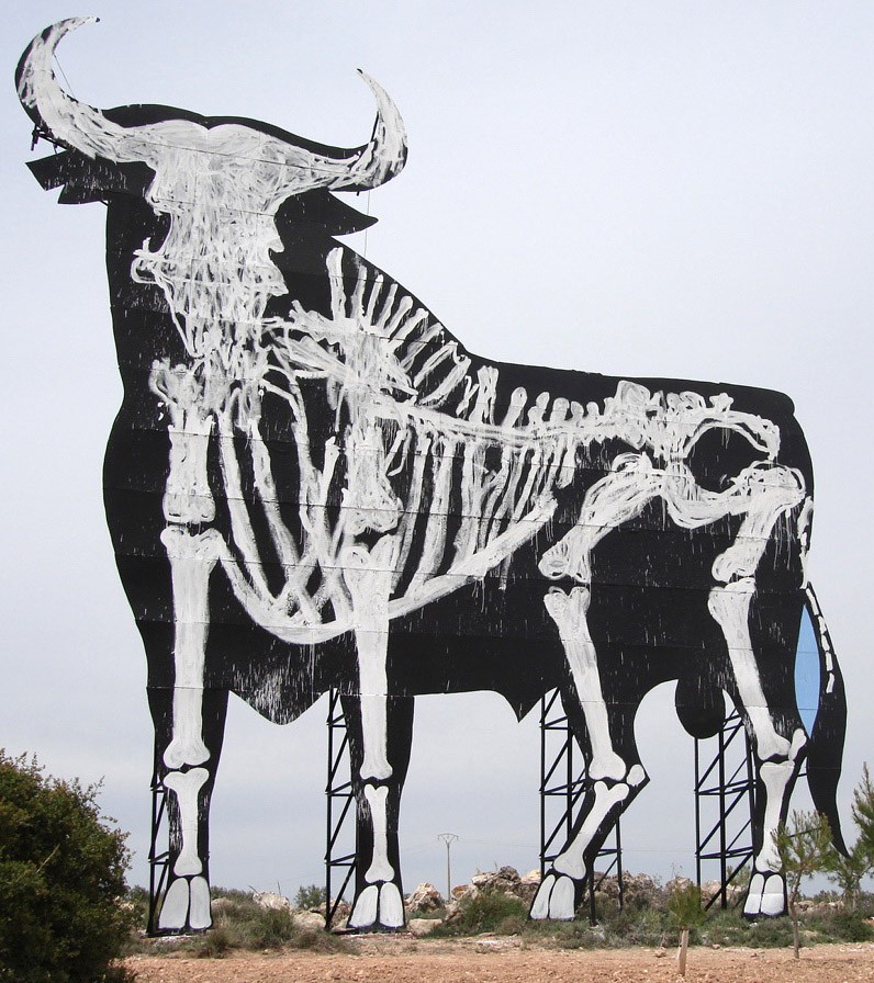 toro1