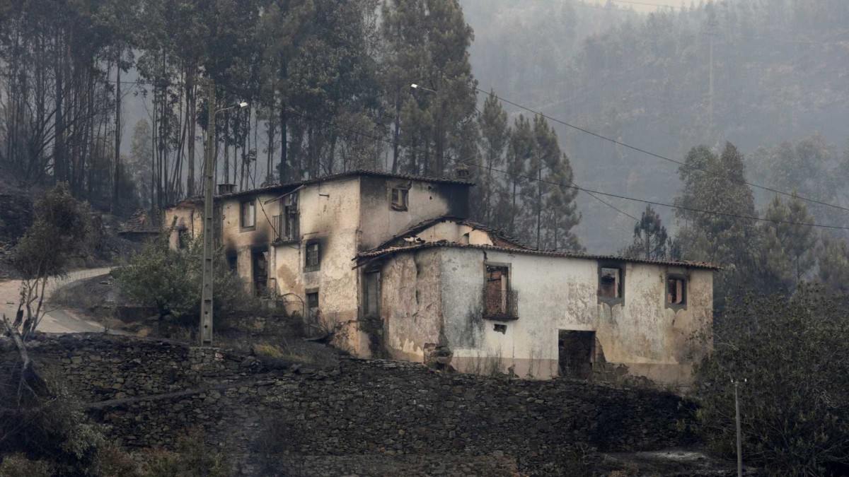 Fogos Pedrogão Grande: Santa Casa apoia reconstrução de casas