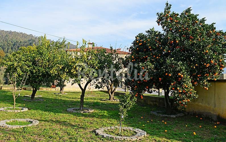 h.3953971.795.500.0.0.wm_.f9dd241d