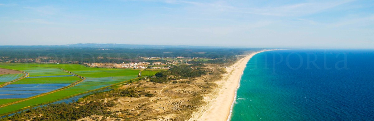 Comporta tem novos donos e são portugueses