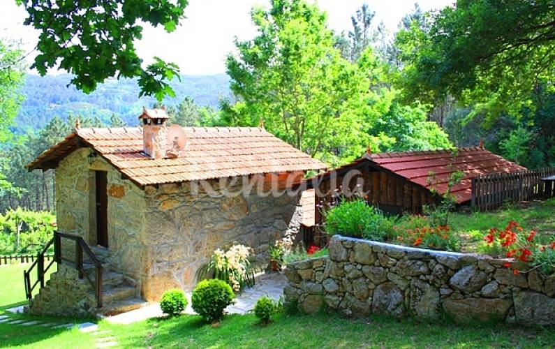 h.4320313.795.500.0.0.wm_.a85bea4d