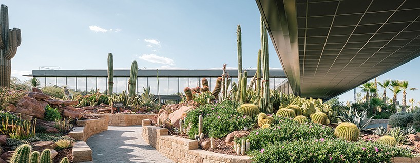 jardin_de_cactus-madrid