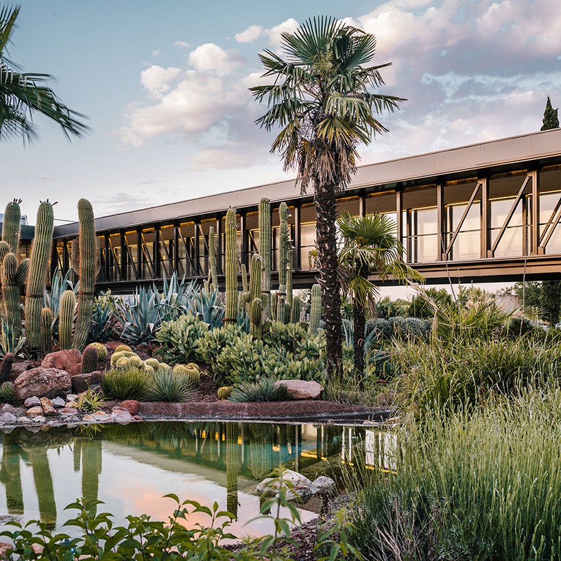 jardin_de_cactus-madrid1_0