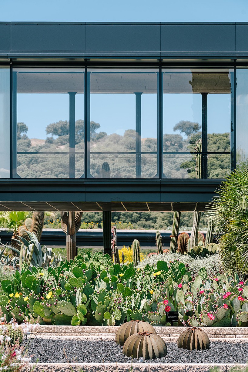 jardin_de_cactus-madrid3