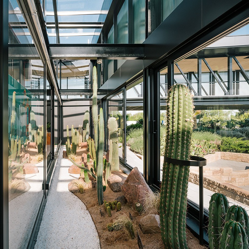 jardin_de_cactus-madrid4