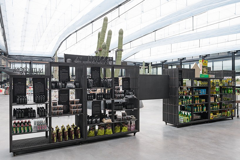 jardin_de_cactus-madrid5