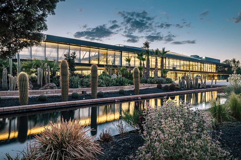 jardin_de_cactus-madrid7