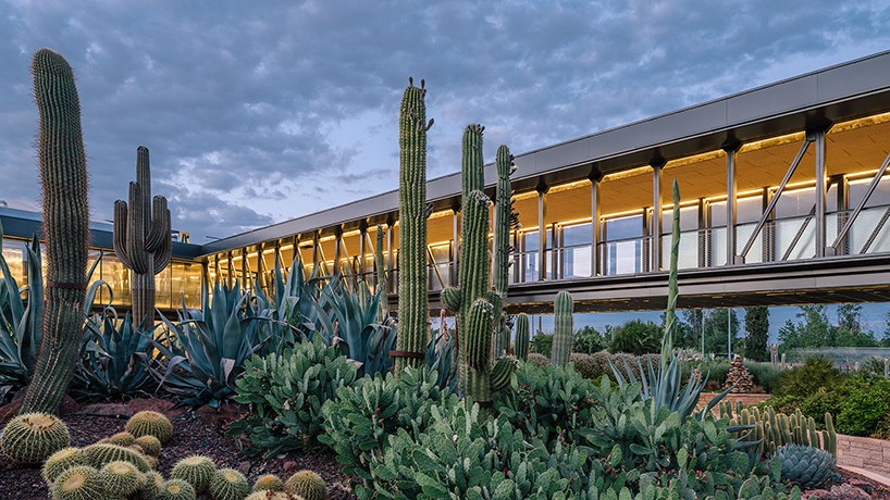 jardin_de_cactus-madrid8