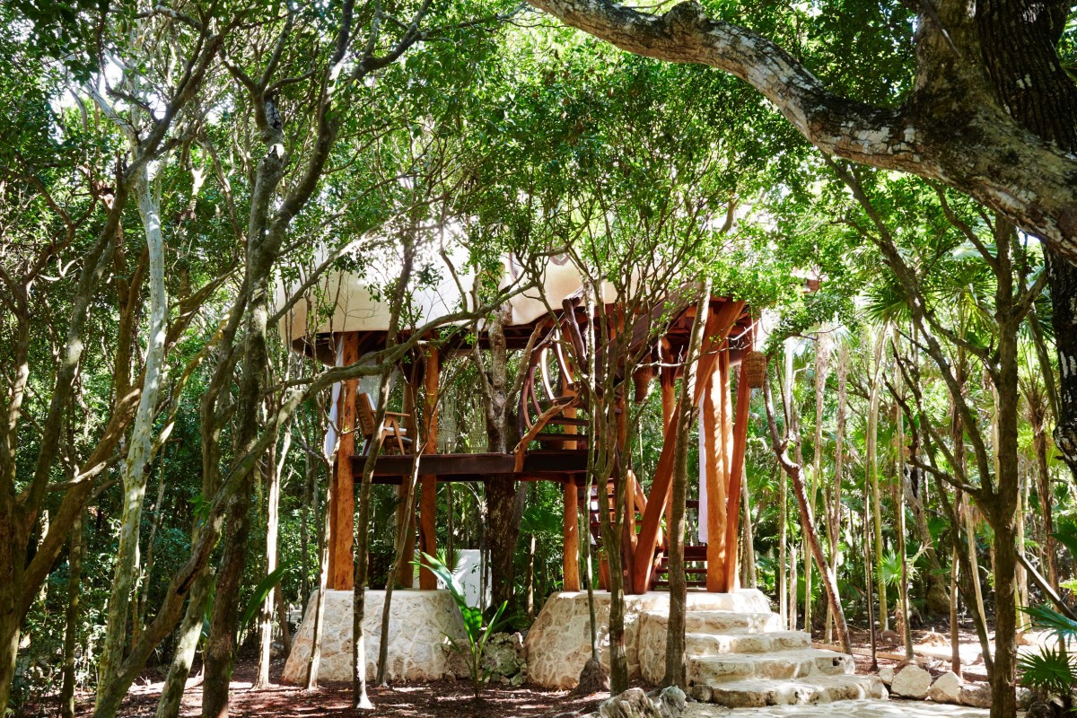 treehouse-papaya-playa-project-hotel1