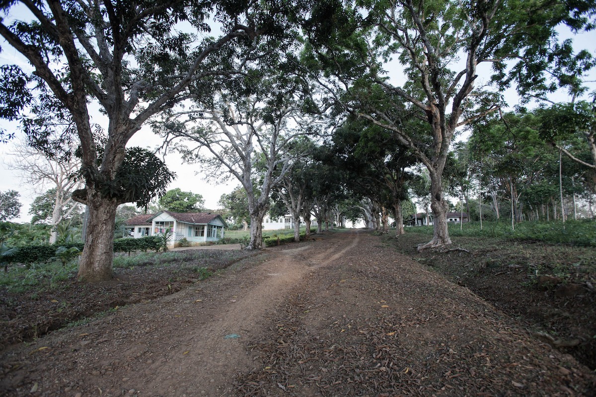 15159452671_3ffd8d17f3_k