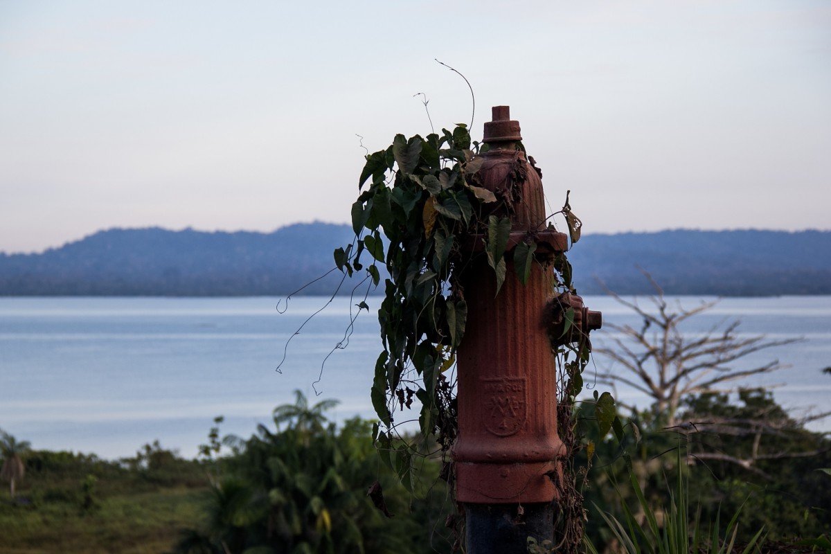 36133596582_84417b468b_k