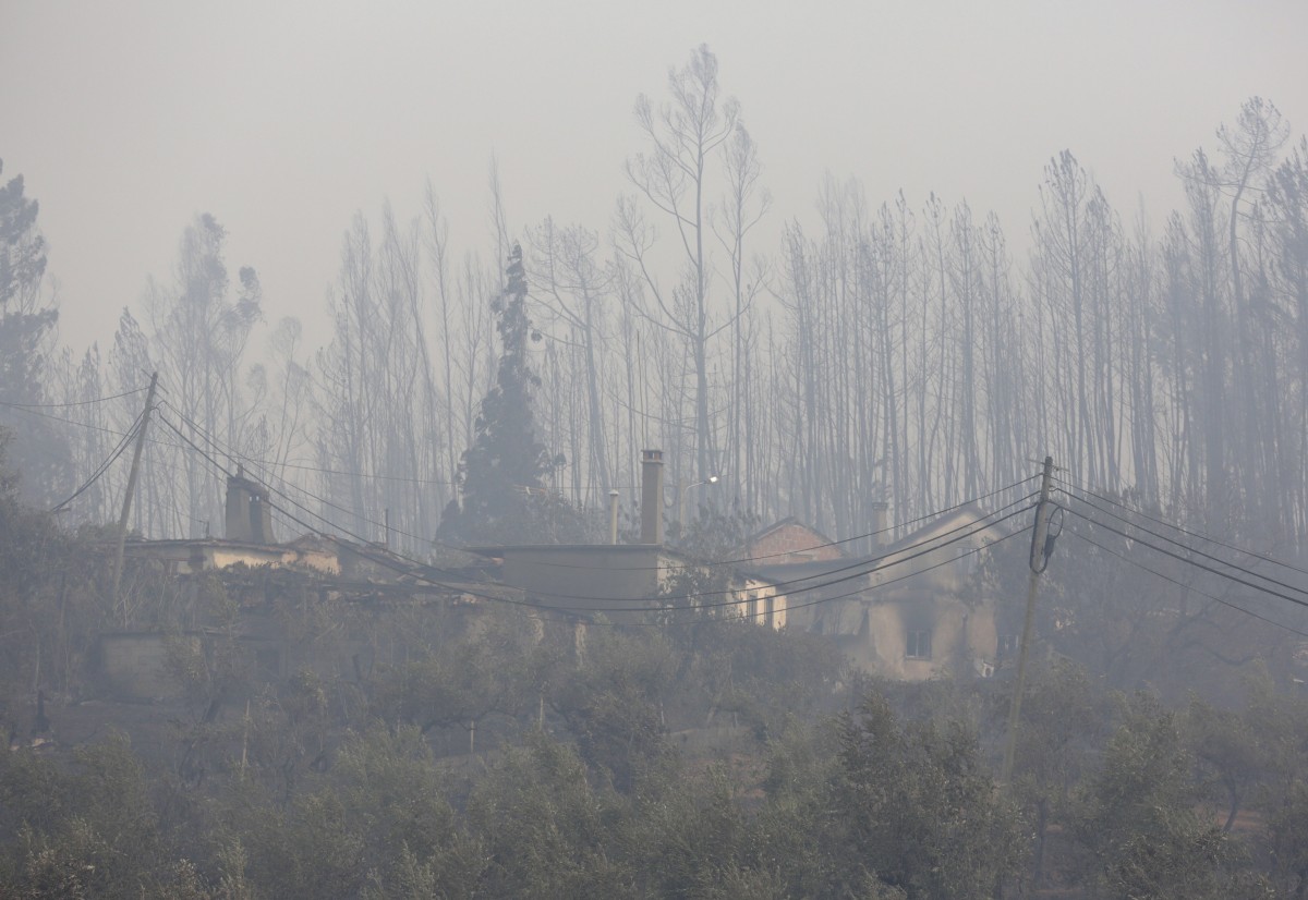 Construtores cobram o dobro para reconstruir casas devastadas pelo incêndio de Pedrogão