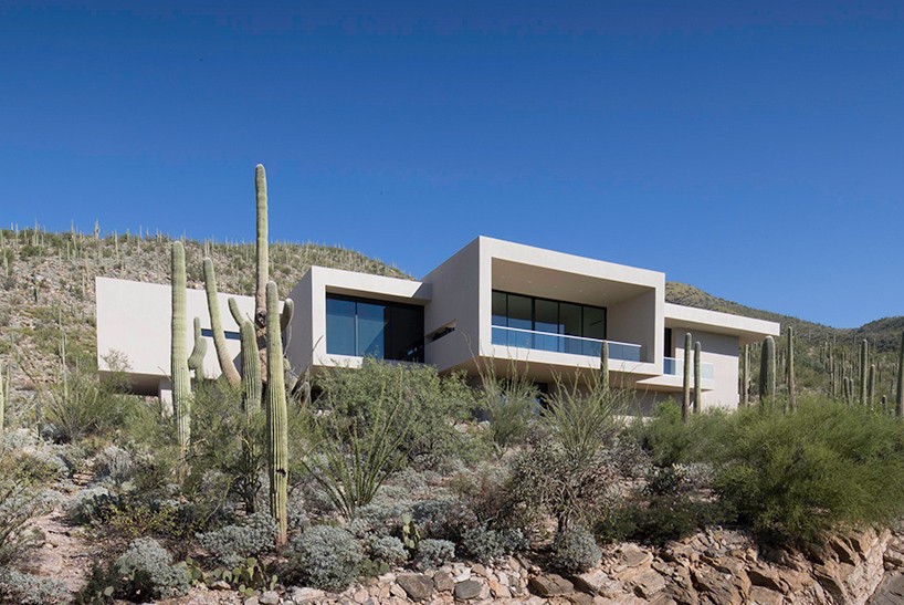 home-901-designboom-1