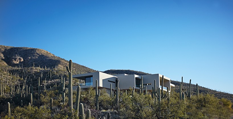 home-901-designboom-2