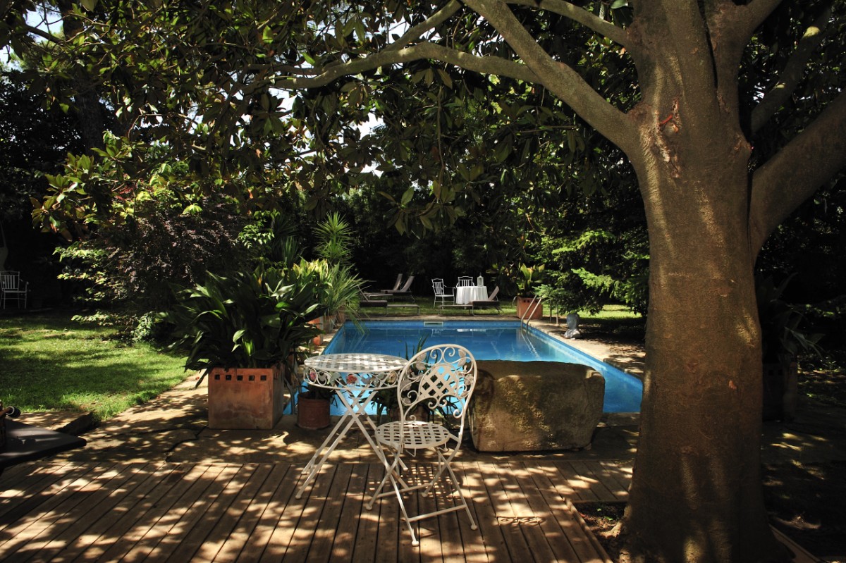 O pequeno bosque, que oferece um ambiente tranquilo e natural