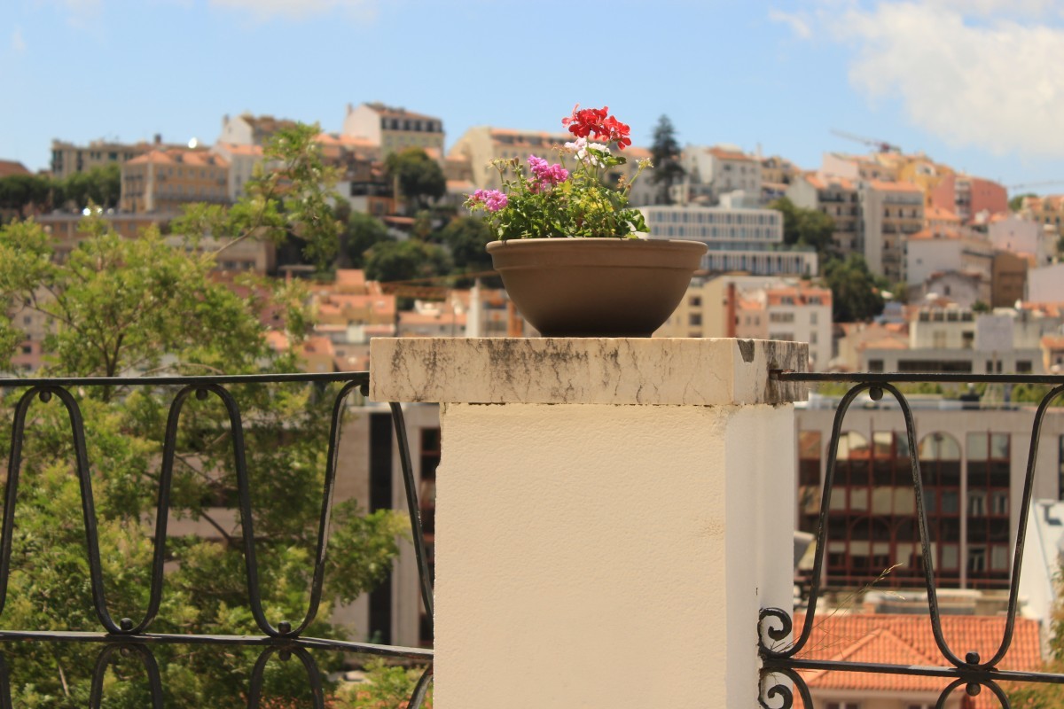 Cerca de 90% das casas em Lisboa estão vendidas antes de estarem prontas