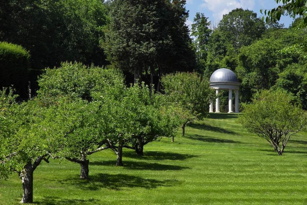 Amplos espaços para árvores e jardins