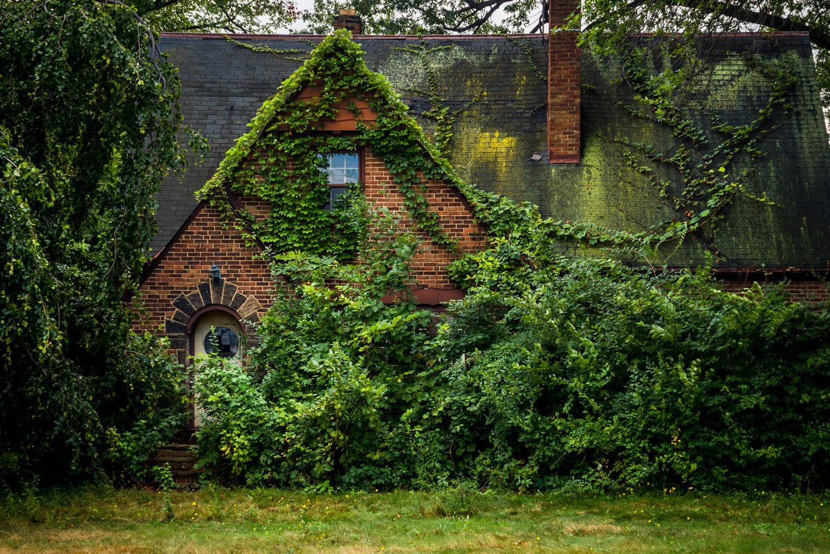 Uma casa, literalmente engolida pela natureza