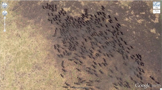 Coordenadas: 4°17’21.49? S 31°23’46.46? E
