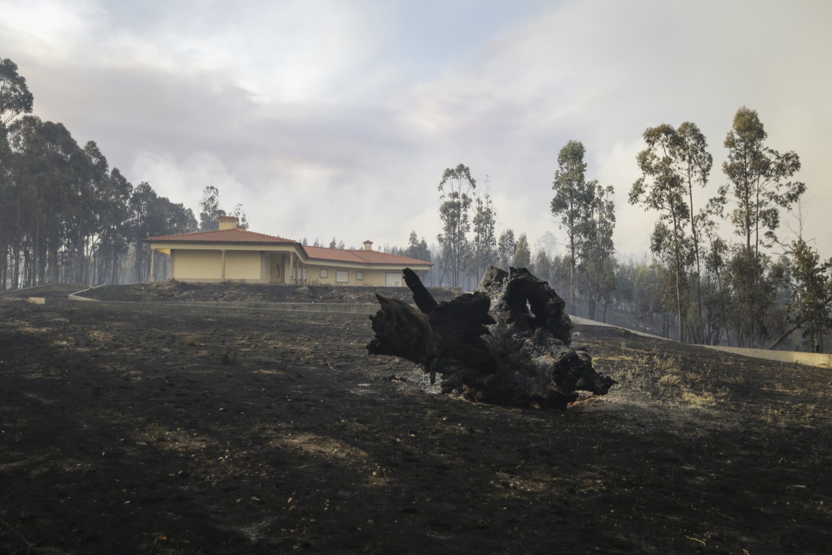 Incêndios: mais de 90% das casas afetadas em Pedrógão estão em obras ou concluídas