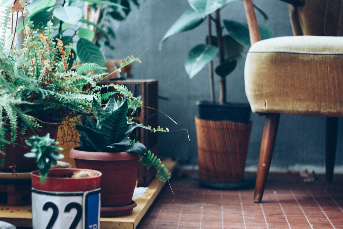 inanc-avadit-538383-unsplash