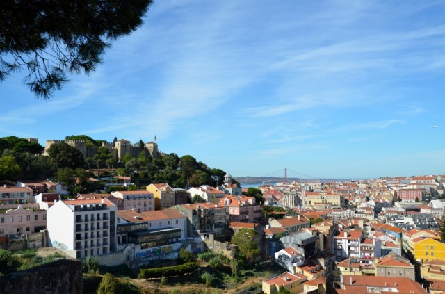 How many people in Portugal rent and how many own a home?