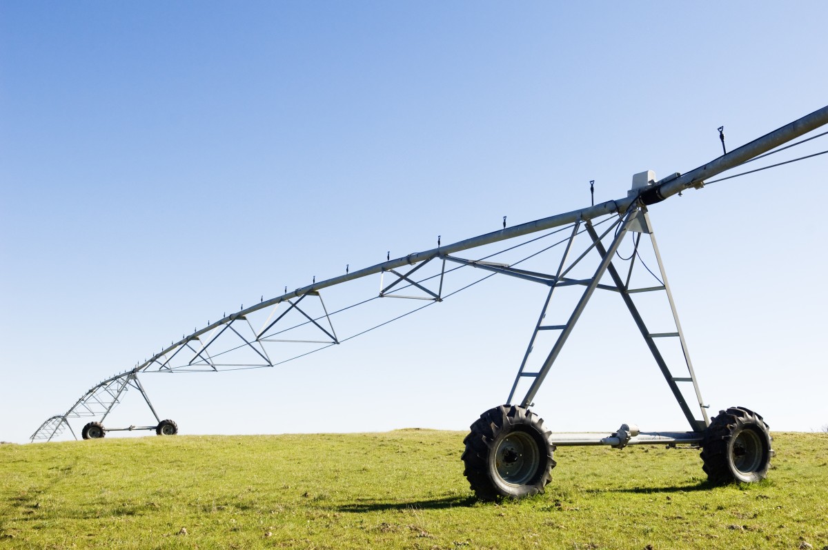 Agricultores recebiam menos 21,5% que os outros trabalhadores em 2016 