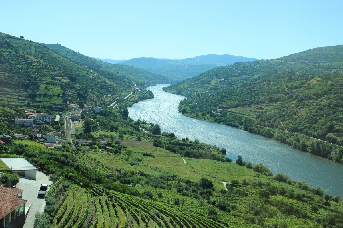 Rio Douro recebeu 1,2 milhões de turistas no ano passado