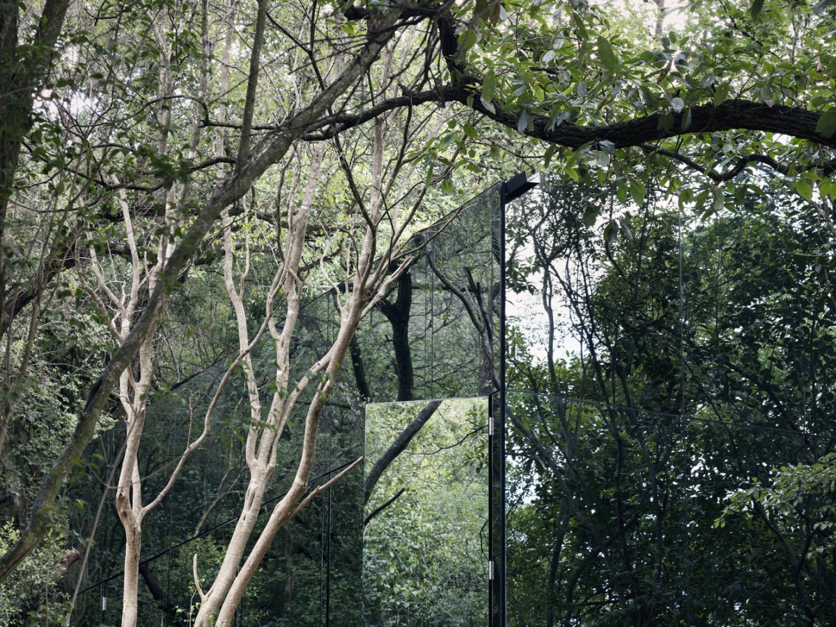 Consegue camuflar-se no meio da natureza...