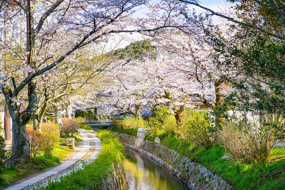 Quioto, Japão 11