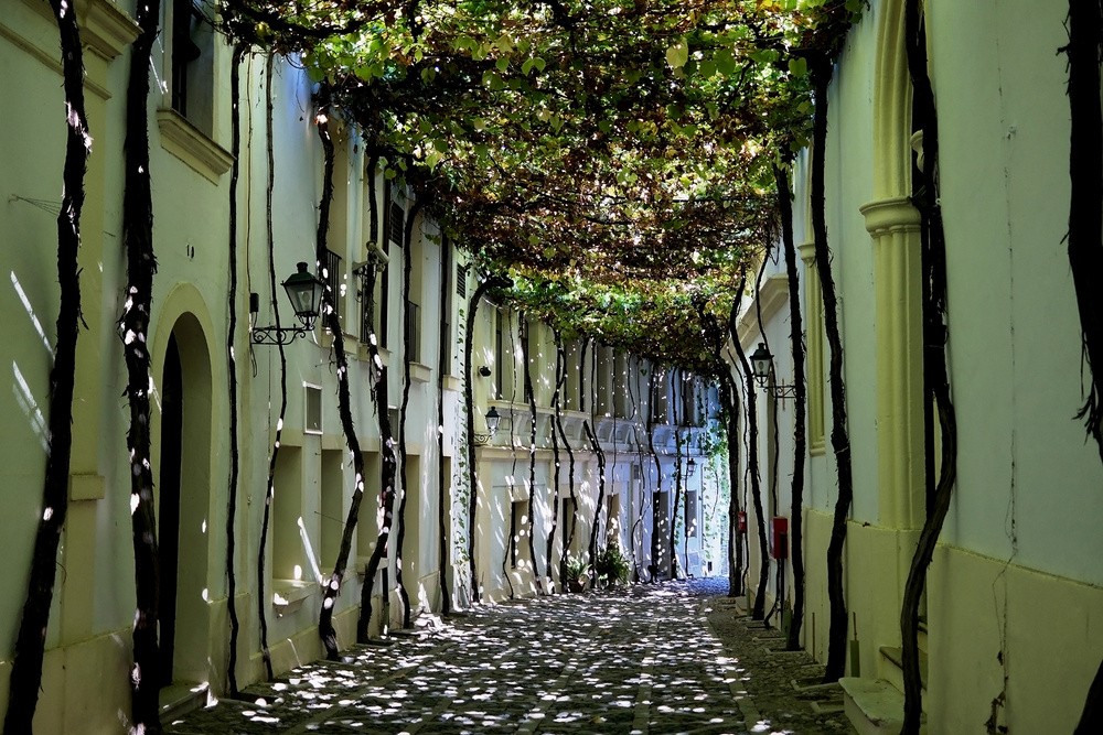 Jerez de la Frontera, Espanha 8