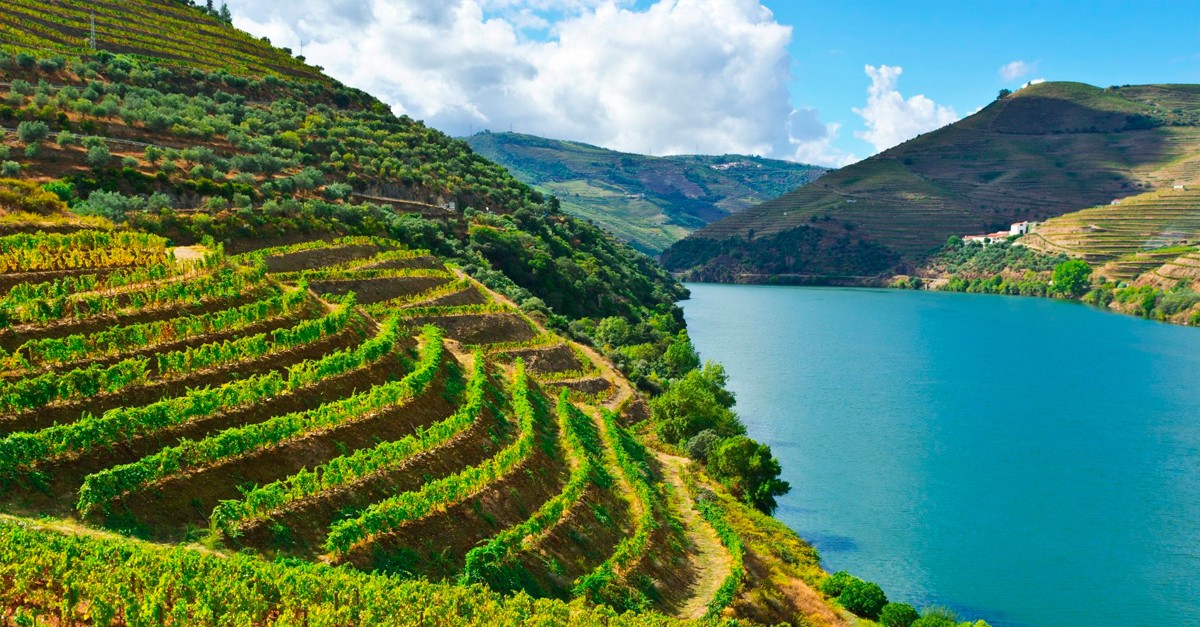 The Douro Valley in northern Portugal is one of the best wine producing regions in the world