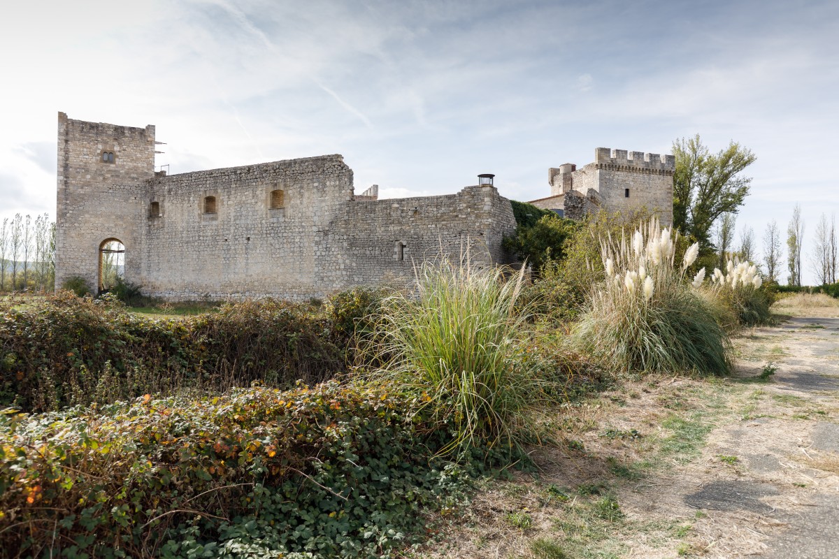 castillo_sotopalacios-006