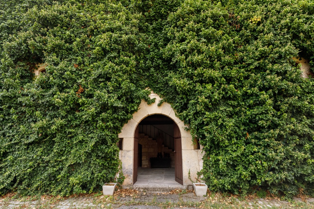 castillo_sotopalacios-017