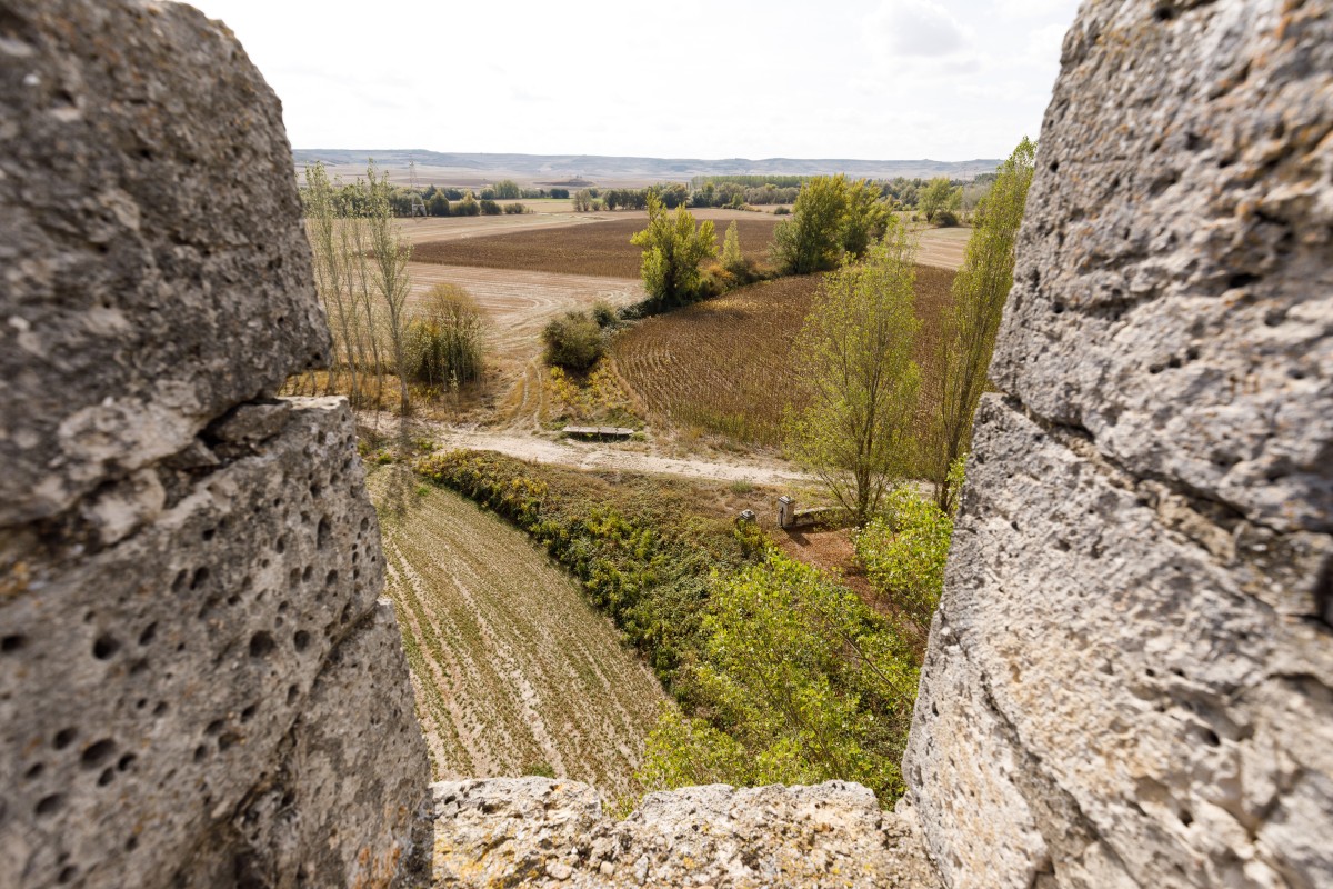 castillo_sotopalacios-049